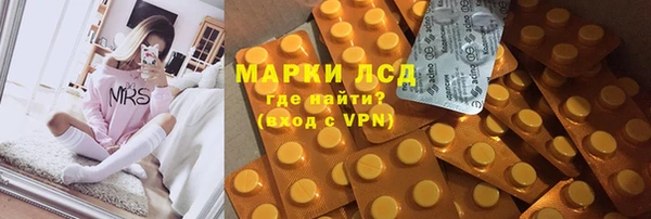 шишки Аркадак
