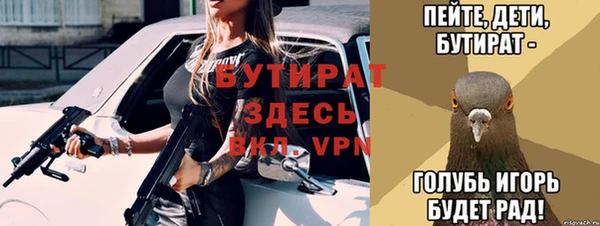 шишки Аркадак