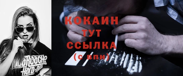 шишки Аркадак