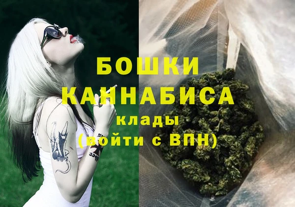 шишки Аркадак