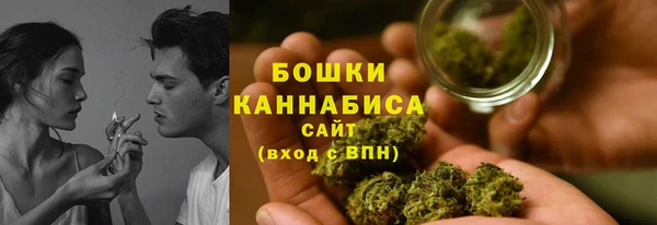шишки Аркадак