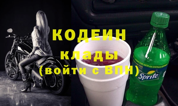 шишки Аркадак