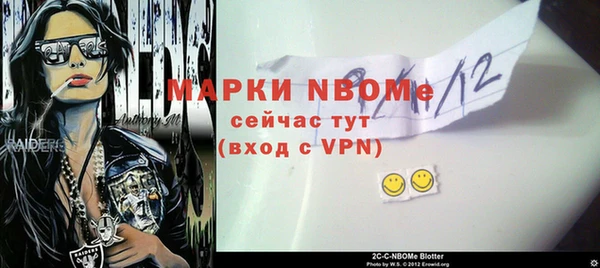 шишки Аркадак