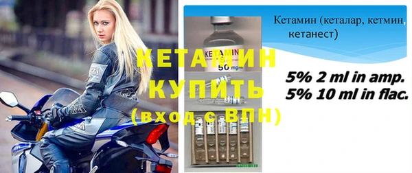 шишки Аркадак