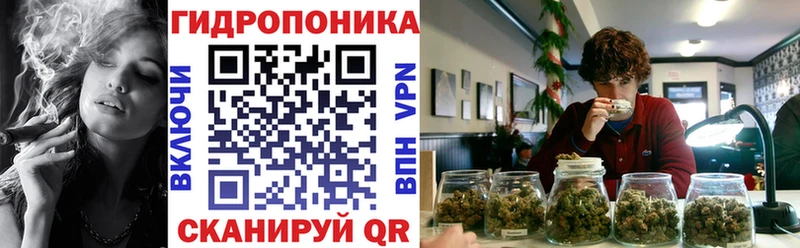 Каннабис гибрид  Таруса 